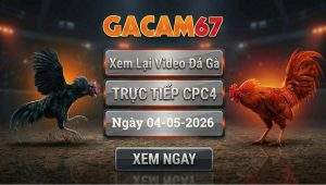 Xem Lại Video Đá Gà CPC4 Ngày 04/05/2026