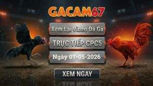 Xem Lại Video Đá Gà CPC5 Ngày 07/05/2026