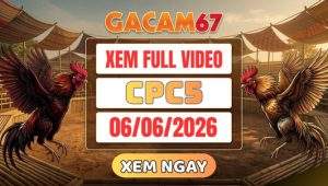 Xem Full Video Đá Gà CPC5 Ngày 6/6/2026 tại GACAM67