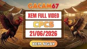 Xem Lại Video Đá Gà CPC5 Ngày 21/06/2026 Tại GACAM67